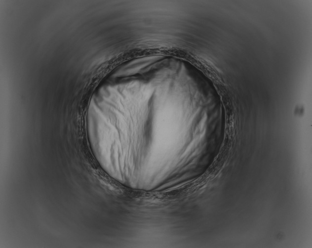 X0000090950917200708241124