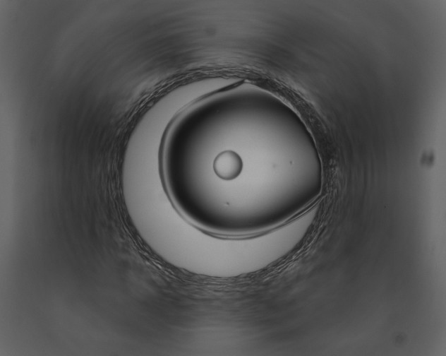 X0000090950918200708241124