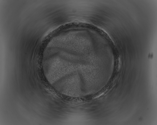 X0000090950919200708241124
