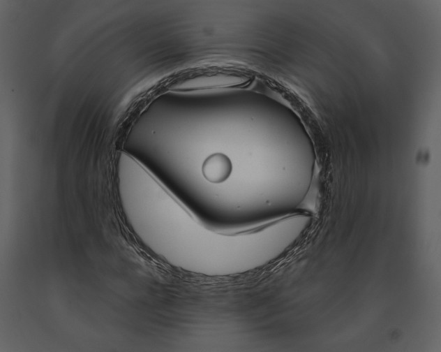 X0000090950920200708241124