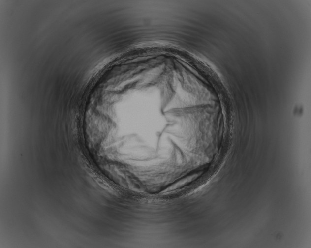 X0000090950921200708241124