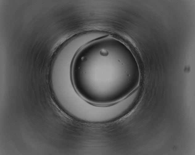 X0000090950922200708241124