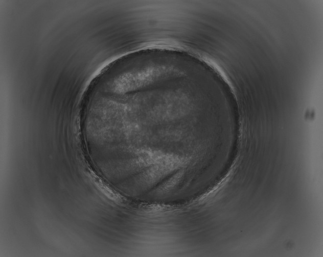 X0000090950923200708241124
