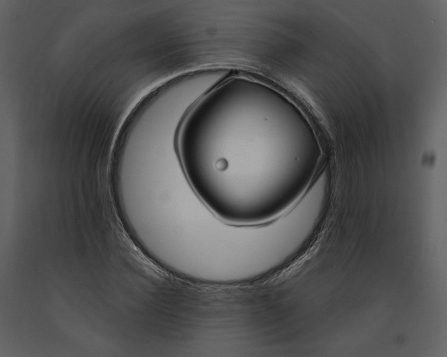 X0000090950924200708241124