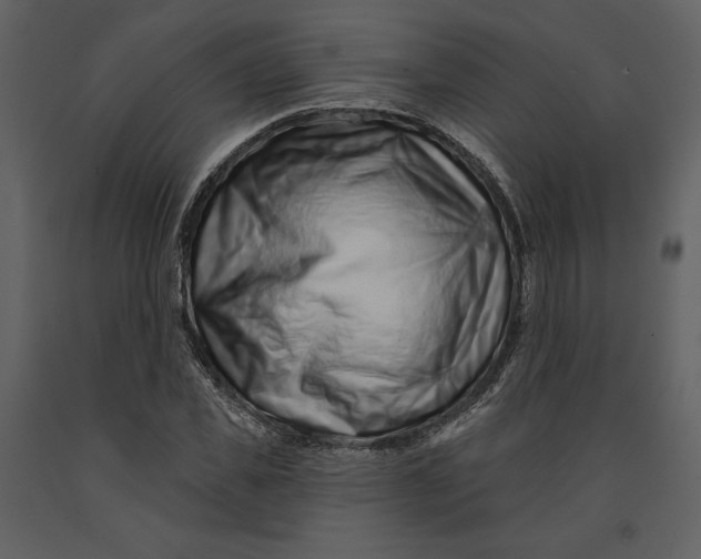 X0000090950925200708241124