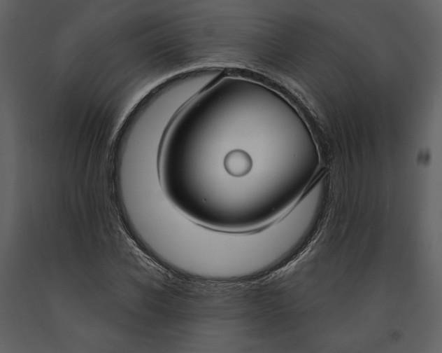 X0000090950926200708241124