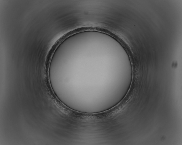X0000090950927200708241124