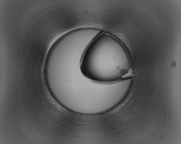X0000090950928200708241124