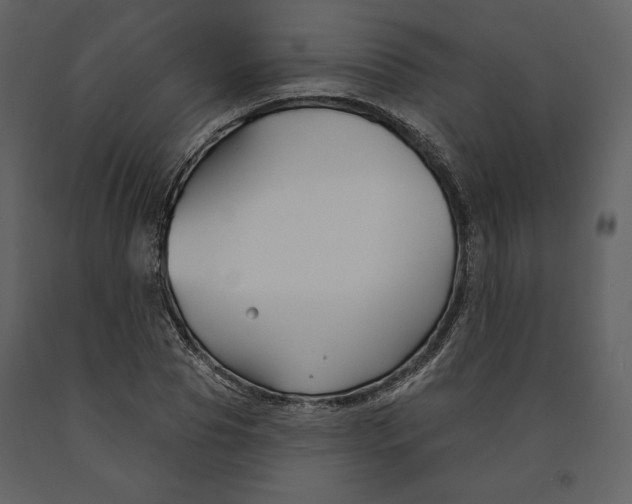 X0000090950929200708241124