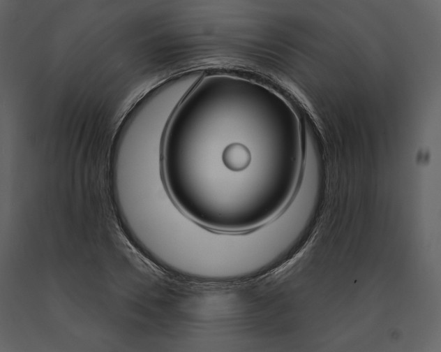 X0000090950930200708241124
