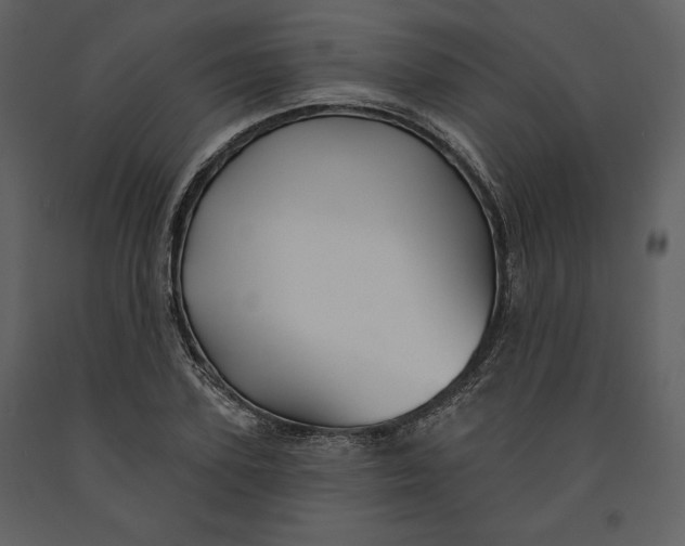 X0000090950931200708241124