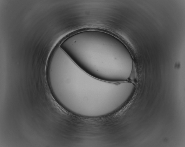 X0000090950932200708241124