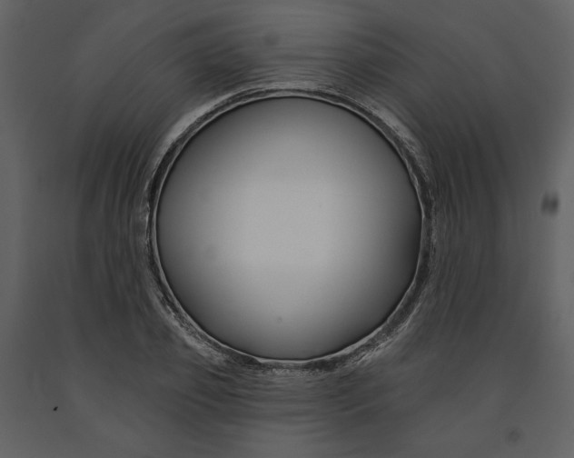X0000090950933200708241125