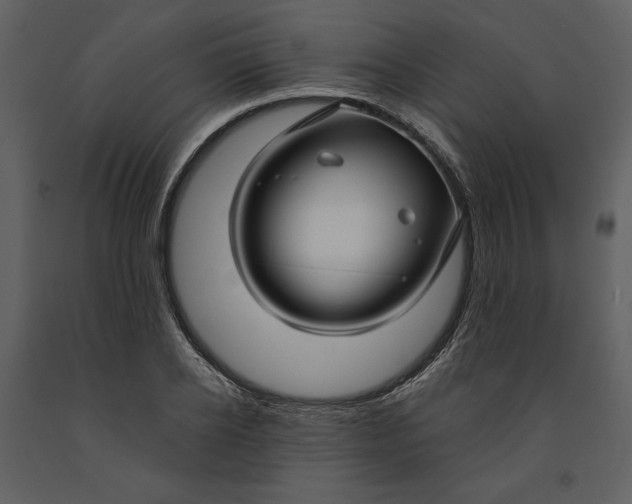 X0000090950934200708241125
