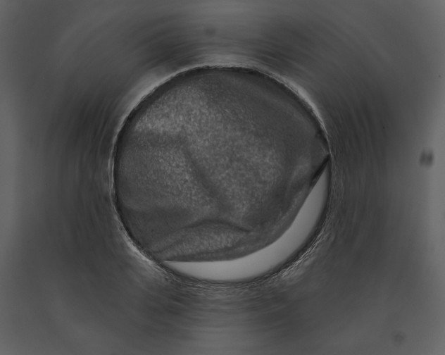 X0000090950935200708241125