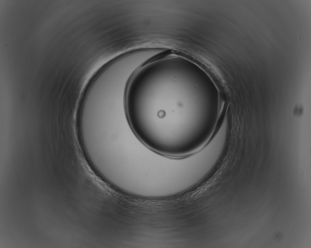 X0000090950936200708241125