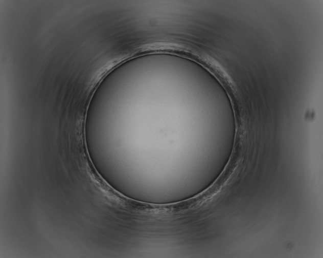 X0000090950937200708241125