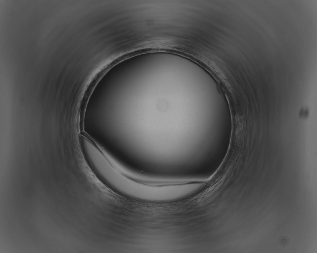 X0000090950939200708241125