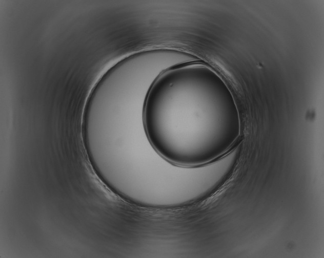 X0000090950940200708241125