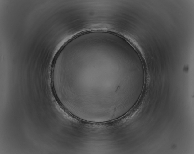 X0000090950941200708241125