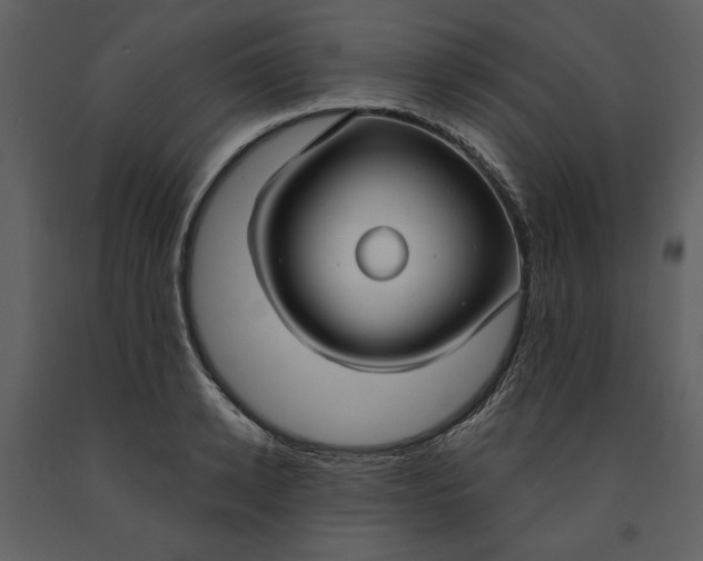 X0000090950942200708241125