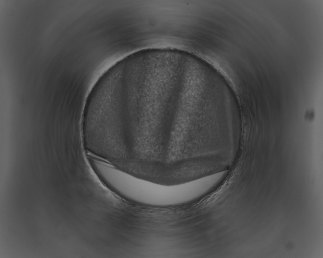 X0000090950943200708241125