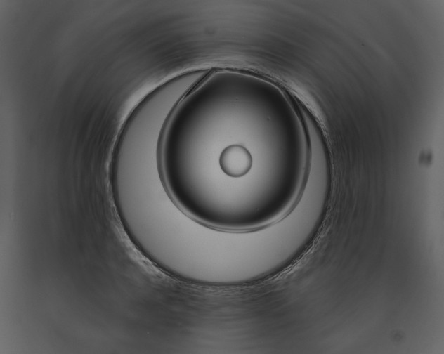 X0000090950944200708241125