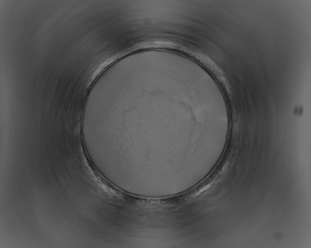 X0000090950945200708241125