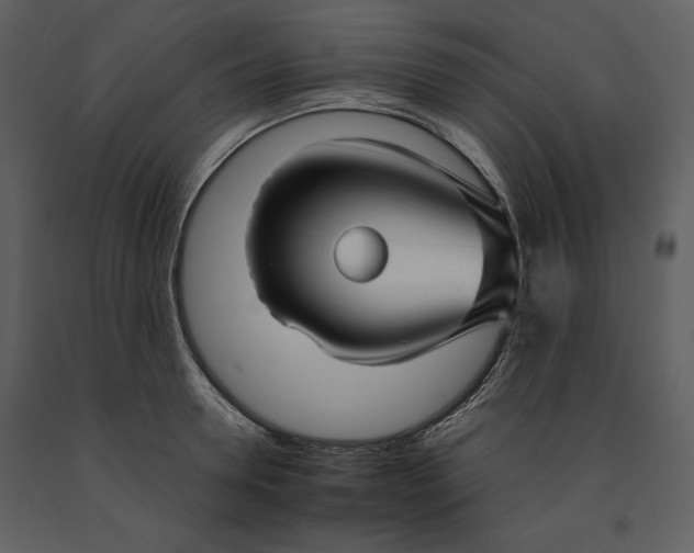 X0000090950946200708241125