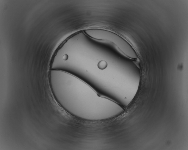 X0000090950948200708241125