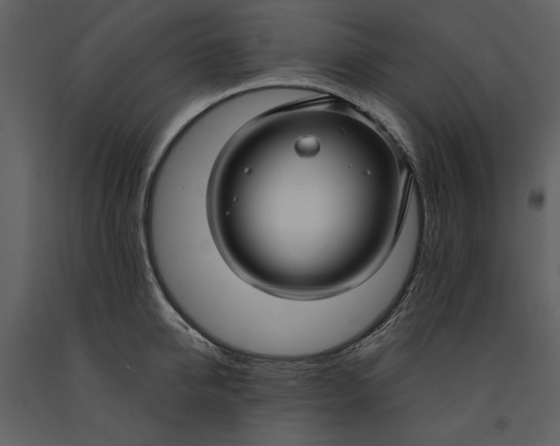 X0000090950950200708241125