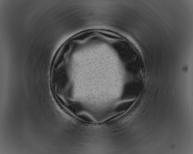 X0000090950951200708241125