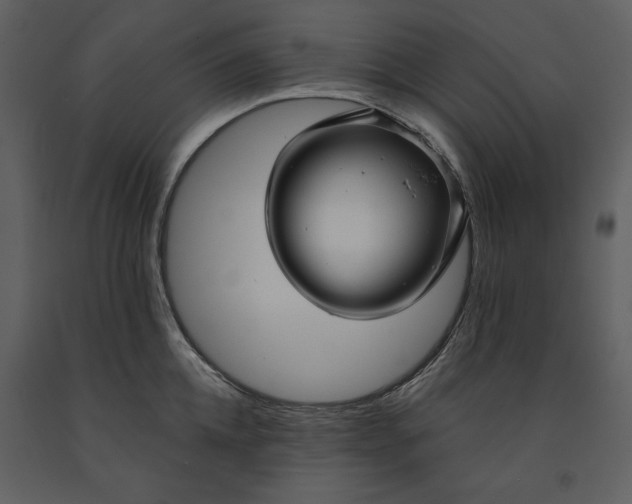 X0000090950952200708241125