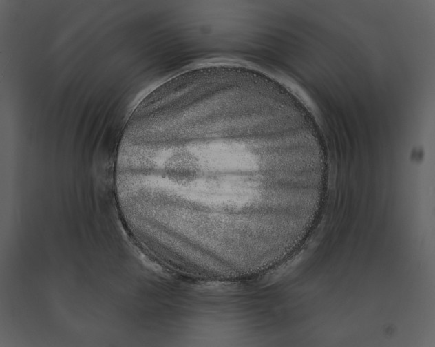 X0000090950953200708241125