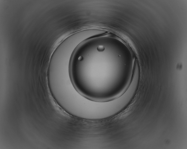 X0000090950954200708241125