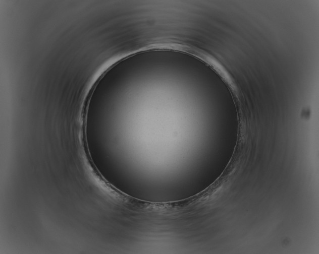 X0000090950955200708241125