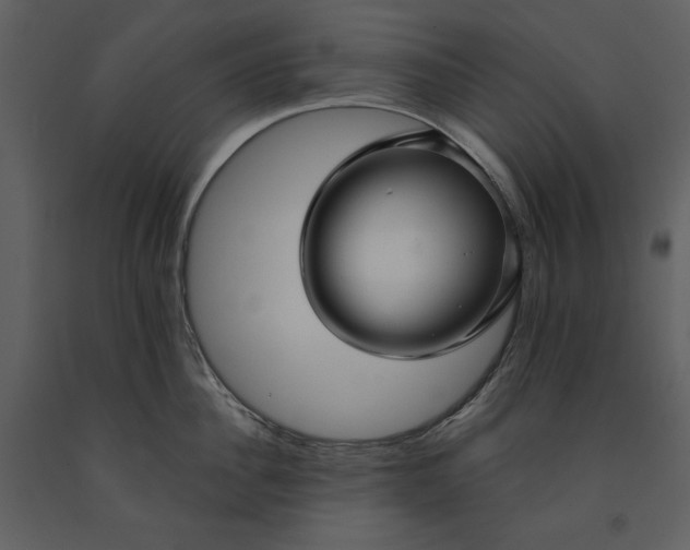 X0000090950956200708241125