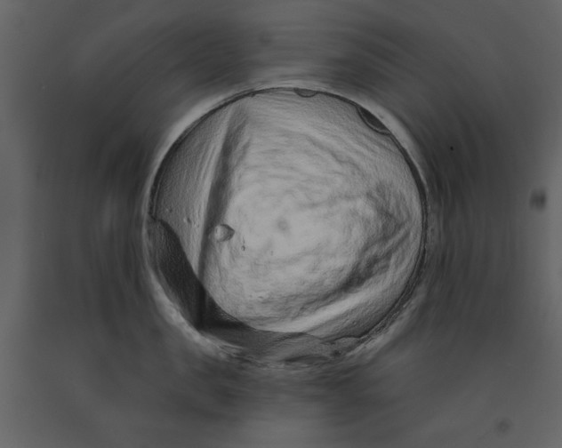 X0000090950957200708241125