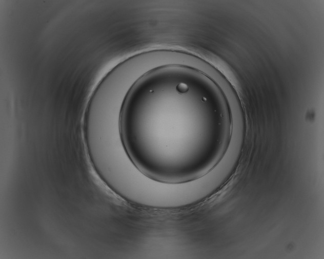 X0000090950958200708241125
