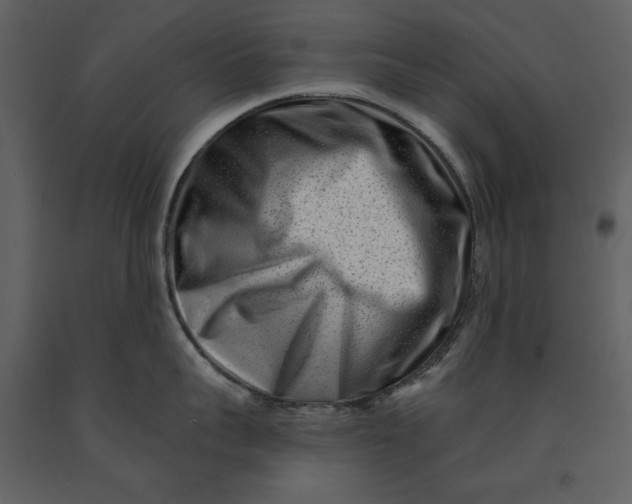 X0000090950959200708241125