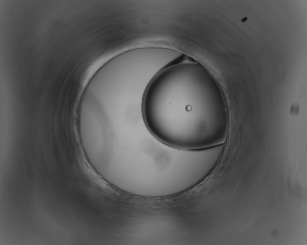 X0000090950960200708241125