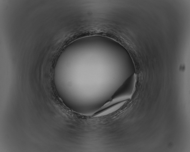 X0000090950961200708241124