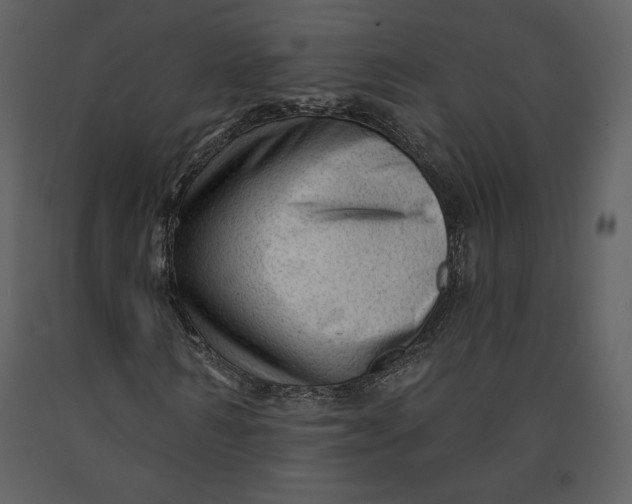 X0000090950962200708241124