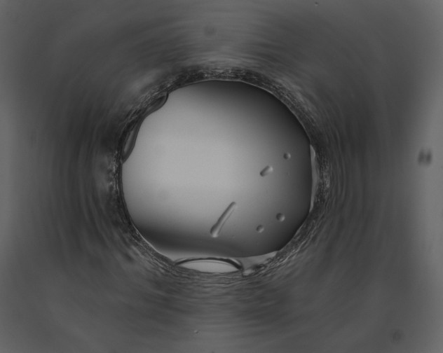 X0000090950964200708241124