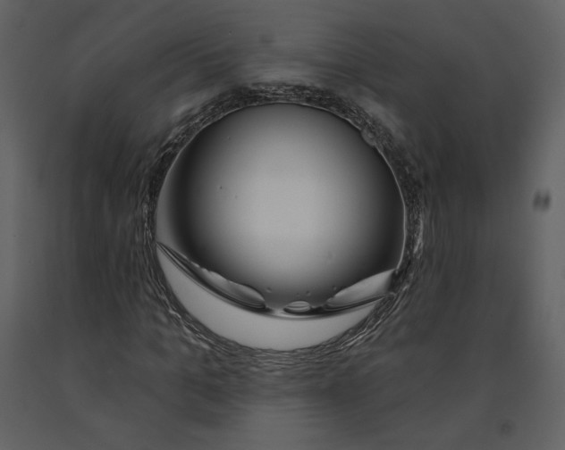 X0000090950965200708241124
