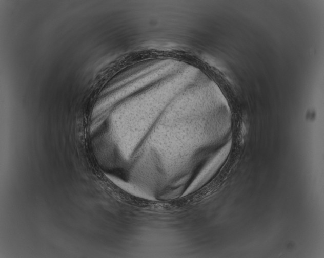 X0000090950966200708241124