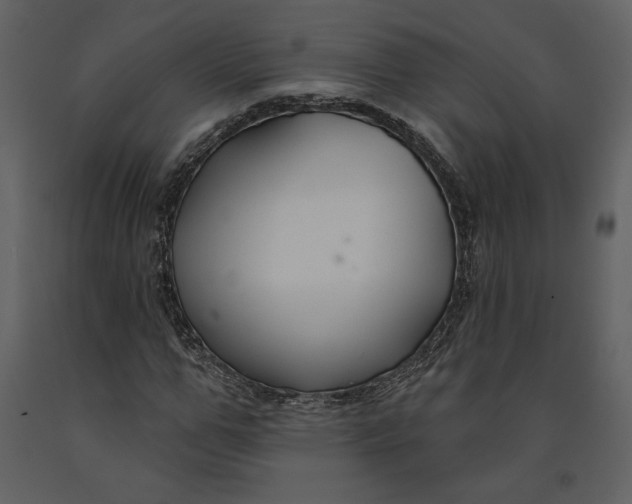 X0000090950967200708241124