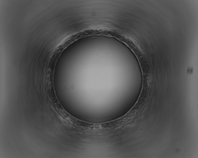 X0000090950968200708241124