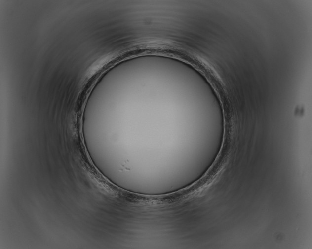 X0000090950970200708241124