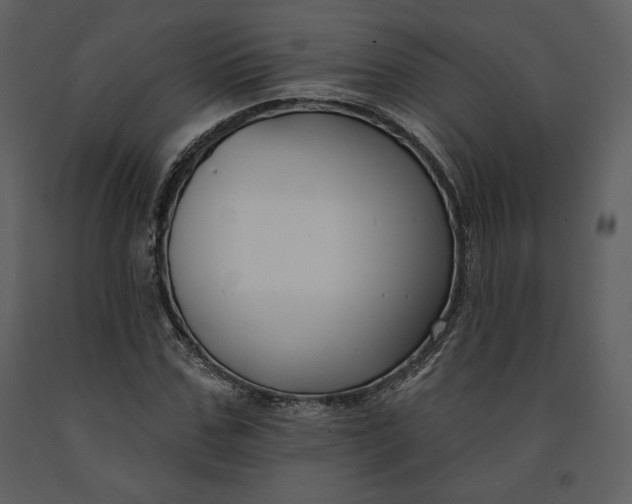 X0000090950971200708241124